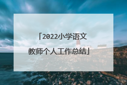 2022小学语文教师个人工作总结