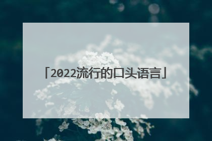 2022流行的口头语言