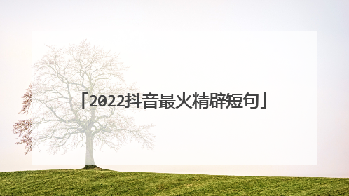 2022抖音最火精辟短句