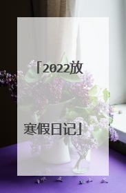 2022放寒假日记