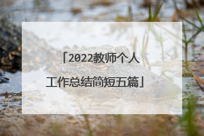 2022教师个人工作总结简短五篇
