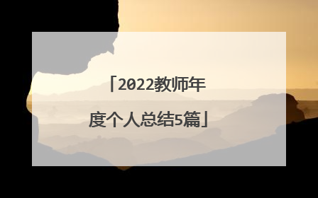 2022教师年度个人总结5篇