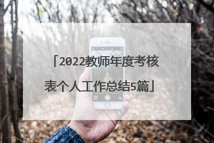 2022教师年度考核表个人工作总结5篇