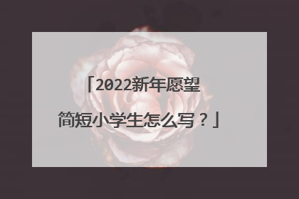 2022新年愿望 简短小学生怎么写？