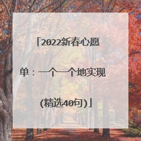 2022新春心愿单:一个一个地实现 (精选40句)