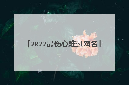 2022最伤心难过网名