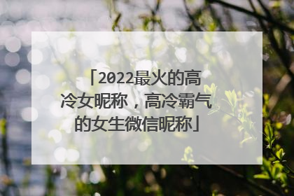 2022最火的高冷女昵称,高冷霸气的女生微信昵称