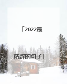 2022最精辟的句子