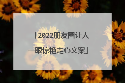 2022朋友圈让人一眼惊艳走心文案