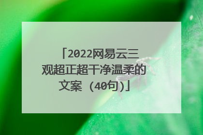 2022网易云三观超正超干净温柔的文案 (40句)