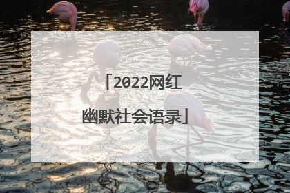 2022网红幽默社会语录