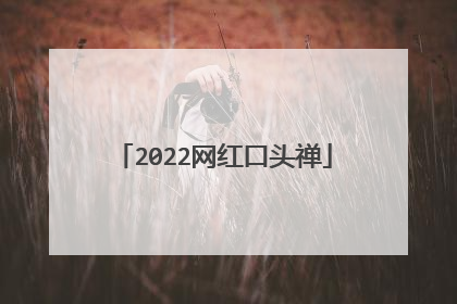 2022网红口头禅