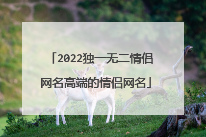 2022独一无二情侣网名高端的情侣网名