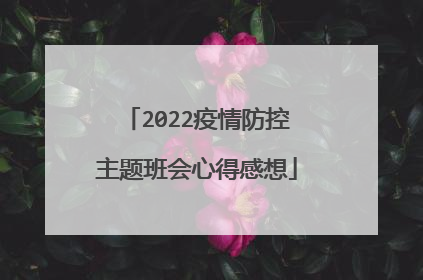 2022疫情防控主题班会心得感想