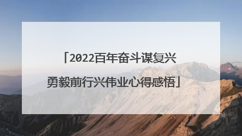 2022百年奋斗谋复兴勇毅前行兴伟业心得感悟