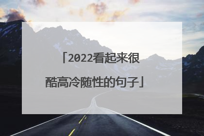 2022看起来很酷高冷随性的句子