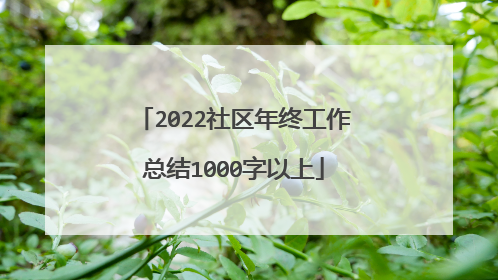 2022社区年终工作总结1000字以上
