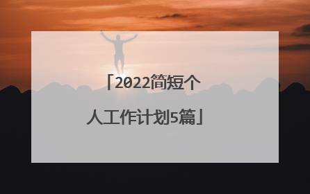 2022简短个人工作计划5篇
