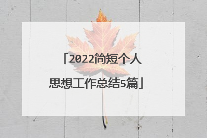 2022简短个人思想工作总结5篇