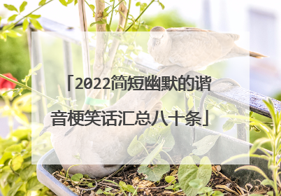 2022简短幽默的谐音梗笑话汇总八十条