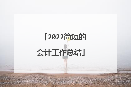 2022简短的会计工作总结