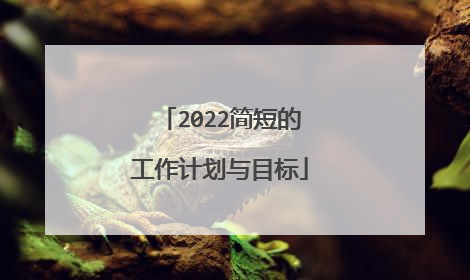 2022简短的工作计划与目标