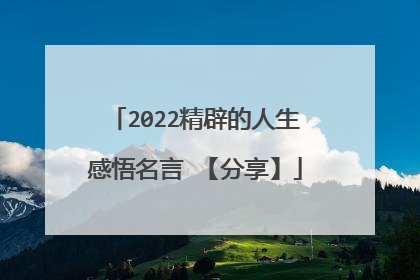 2022精辟的人生感悟名言 【分享】