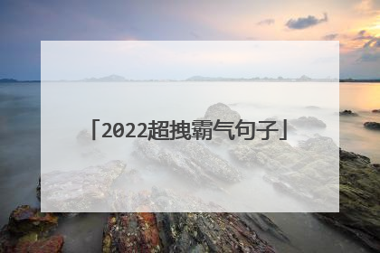 2022超拽霸气句子