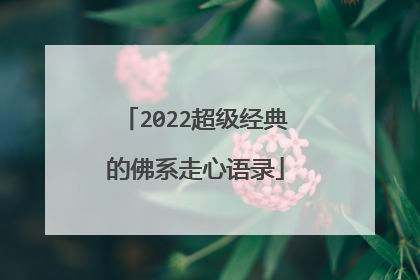 2022超级经典的佛系走心语录