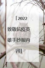 2022致敬抗疫英雄手抄报内容