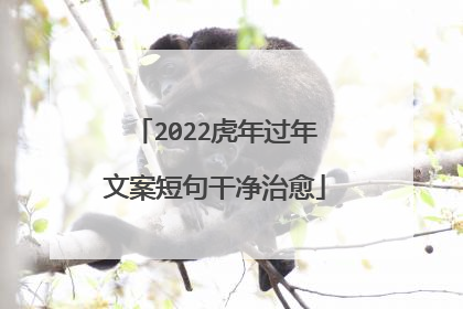 2022虎年过年文案短句干净治愈
