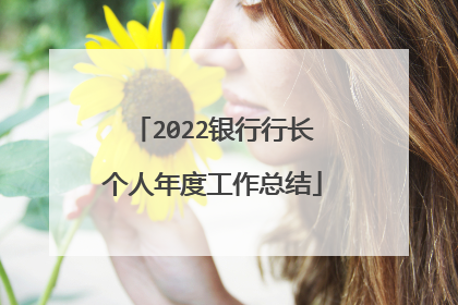 2022银行行长个人年度工作总结