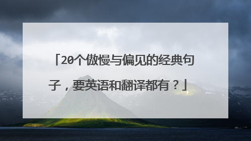 20个傲慢与偏见的经典句子，要英语和翻译都有？