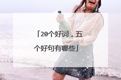 20个好词，五个好句有哪些