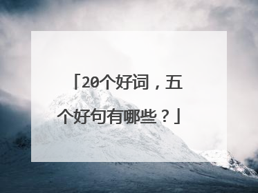20个好词，五个好句有哪些？