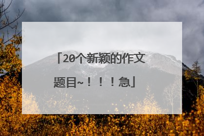 20个新颖的作文题目~!!!急