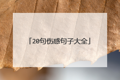 20句伤感句子大全