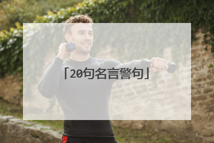 20句名言警句
