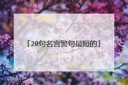20句名言警句最短的