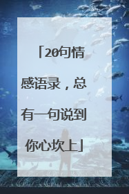 20句情感语录，总有一句说到你心坎上