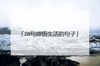 20句感悟生活的句子