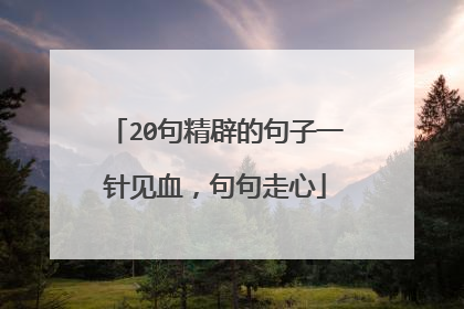 20句精辟的句子一针见血，句句走心