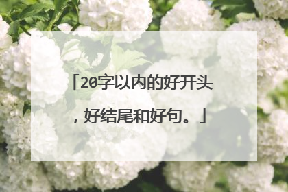20字以内的好开头,好结尾和好句。