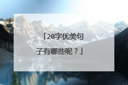 20字优美句子有哪些呢?