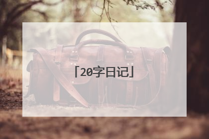 20字日记