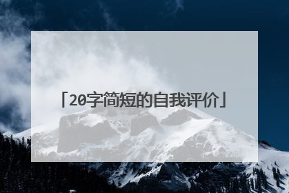 20字简短的自我评价