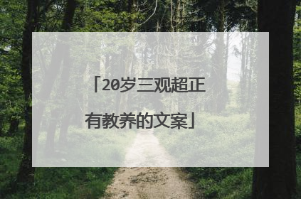 20岁三观超正有教养的文案