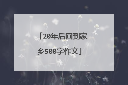 20年后回到家乡500字作文