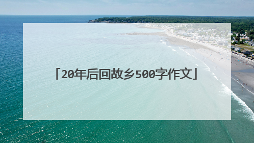20年后回故乡500字作文