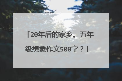 20年后的家乡。五年级想象作文500字？